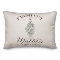 thumbnail image 1 of Creative Products Mistletoe Light Linen Canvas Texture 20 x 14 Spun Poly Pillow, 1 of 3