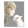 thumbnail image 1 of Creative Products Mom and Child Sheep 11x14 Canvas Wall Art, 1 of 5