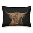 thumbnail image 1 of Creative Products Moody Highland Cow 20 x 14 Spun Poly Pillow, 1 of 3