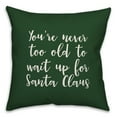 thumbnail image 1 of Creative Products Never To Old To Wait Up For Santa in Dark Green 18x18 Spun Poly Pillow, 1 of 2
