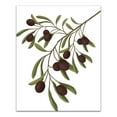 thumbnail image 1 of Creative Products Olive Branch Neutral 4 16 x 20 Canvas Wall Art, 1 of 5
