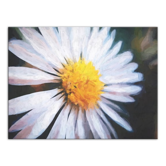 Creative Products Painted Daisy 40x30 Canvas Wall Art