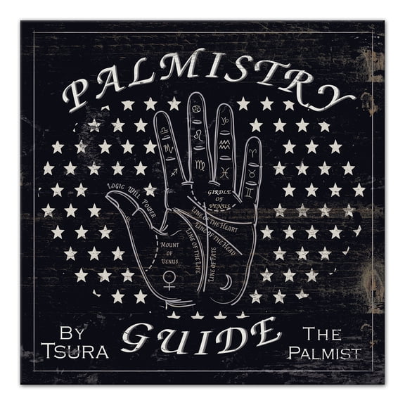 Creative Products Palm Reading Guide 3 20 x 20 Canvas Wall Art