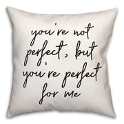 Creative Products Perfect 18x18 Spun Poly Pillow