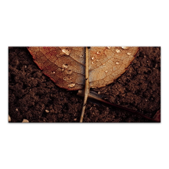 Creative Products Split Brown Leaf Bottom 10x20 Canvas Wall Art