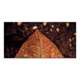 thumbnail image 1 of Creative Products Split Brown Leaf Top 10x20 Canvas Wall Art, 1 of 4