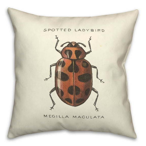 Creative Products Vintage Ladybug Diagram 18x18 Spun Poly Pillow
