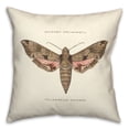thumbnail image 1 of Creative Products Vintage Moth Diagram 18x18 Spun Poly Pillow, 1 of 3