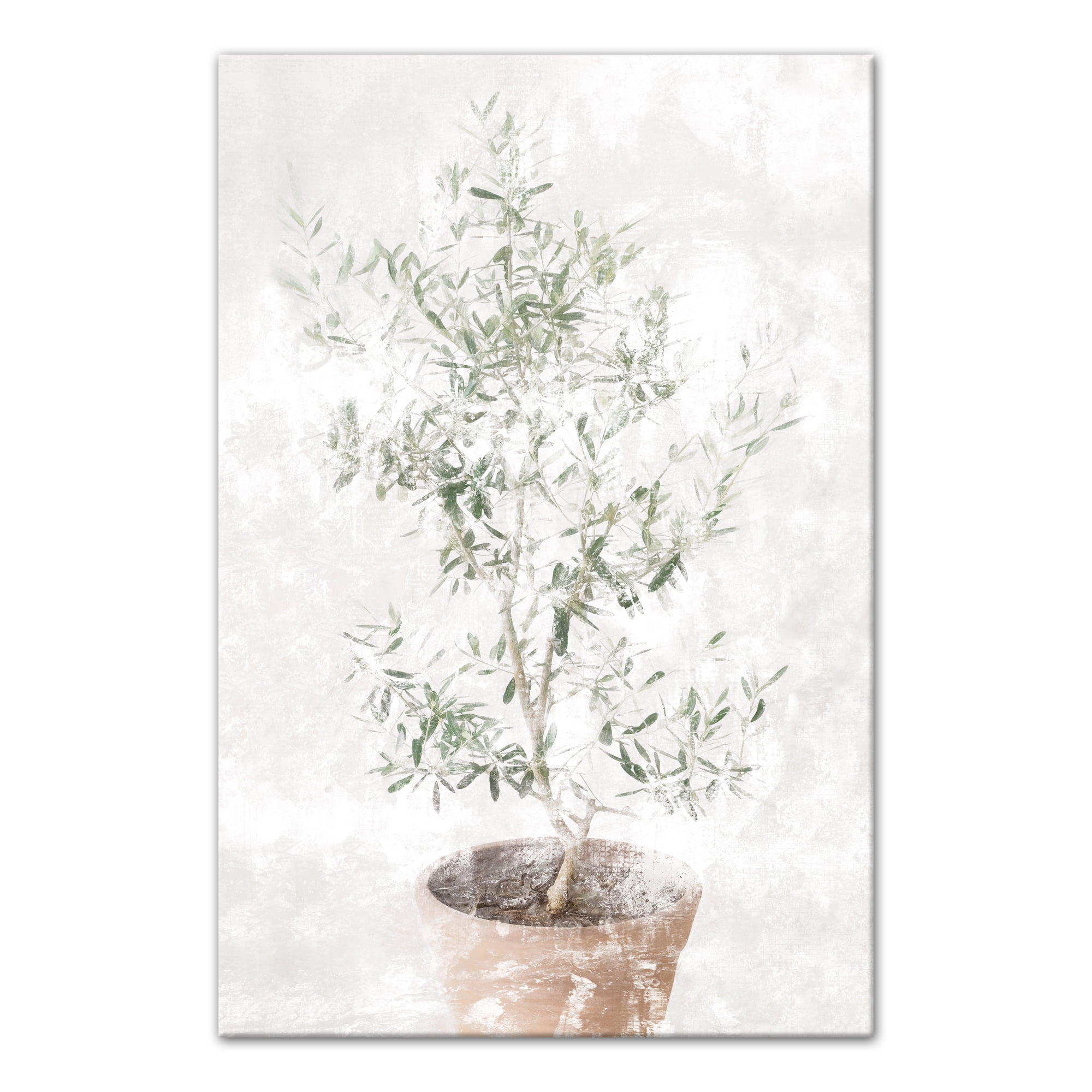 Washed Olive Tree Abstract Floral Canvas Wall Art 20x30