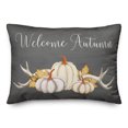 thumbnail image 1 of Creative Products Welcome Autumn Pumpkins 20 x 14 Spun Poly Pillow, 1 of 3