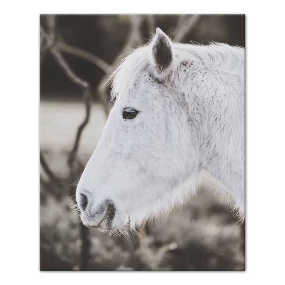Creative Products White Mini Pony 24x30 Canvas Wall Art