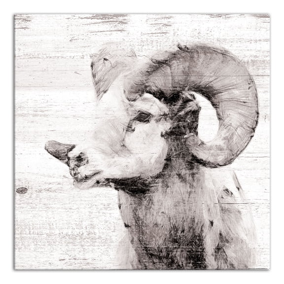 Creative Products White Ram 16x16 Canvas Wall Art