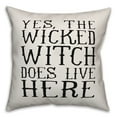 thumbnail image 1 of Creative Products Wicked Witch Does Live Here 18x18 Indoor / Outdoor Pillow, 1 of 2