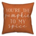 thumbnail image 1 of Creative Products You're the Pumpkin to My Spice 16x16 Spun Poly Pillow, 1 of 3