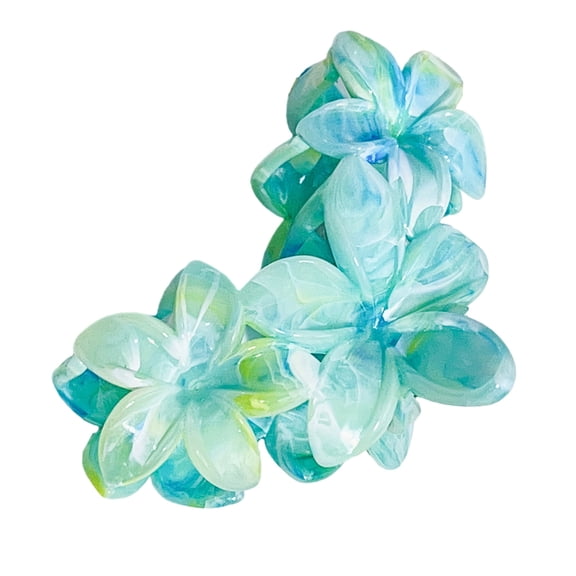 Creative Resin Hair Clip with Design Slip Claw Grip Barrette Suitable for Different Hair Type and Occasion