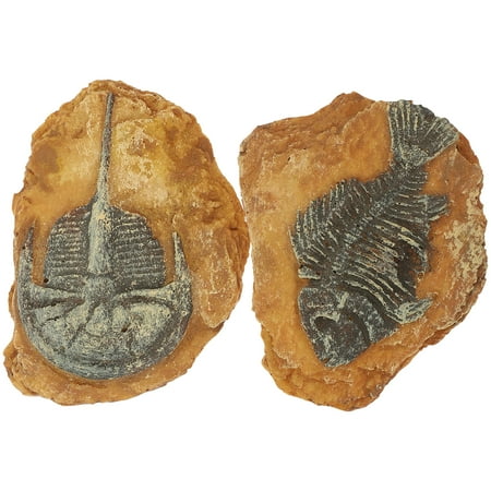 Creative Resin Reptile Box Decor 2Pcs Snake Ornaments for DIY Terrarium Decors Light Brown