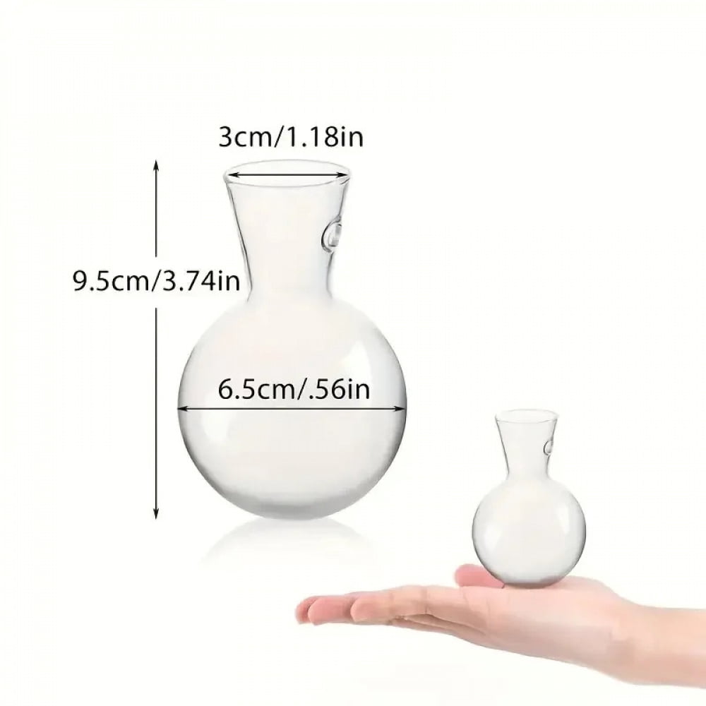 Fresh Look at Creative Semi Circular Class Wall Mounted Vase Flower Plate Plant