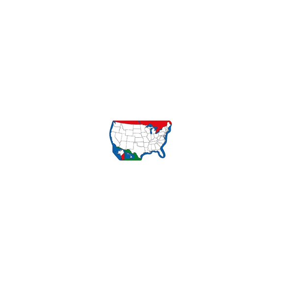 Creative Shapes United States Unlabeled Practice Maps