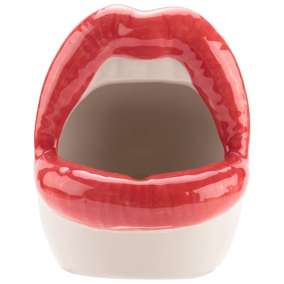 Cactus Pot,Ceramic Small Flower Plants Containers Sexy Big Lips Planter for Home Office, Red