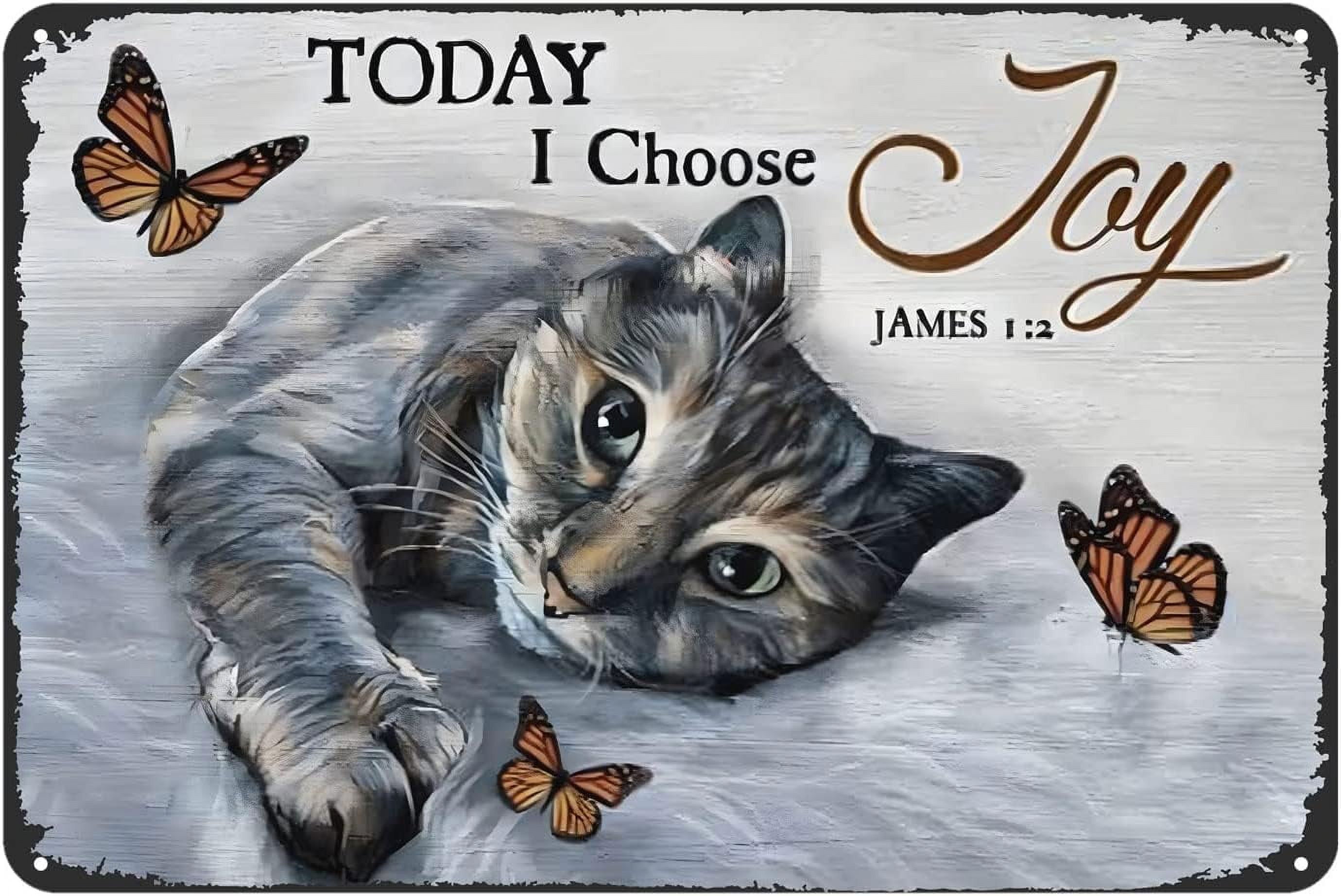 Creative Tin Sign Today I Choose Joy Style Retro Metal Tin Sign Wall
