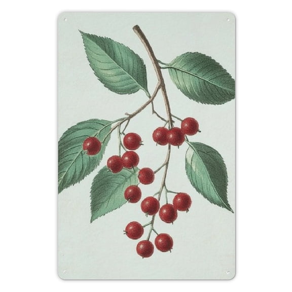 Creative Tin Sign Vintage Metal Tin Sign Cherry Antique Botanical Fruit Home Decor Funny Novelty Kitchen Bar Club Garage Garden Farm Wall Art Tin Signs 8" x 12"
