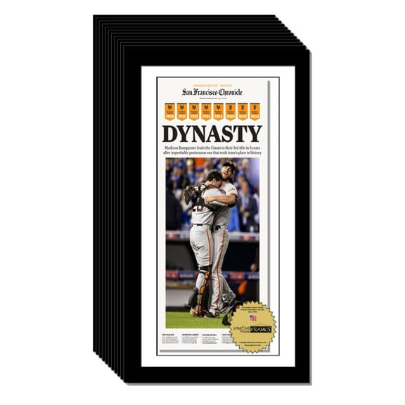 CreativePF 11-14x24-inch Black Picture Frame (White Mat, 12)