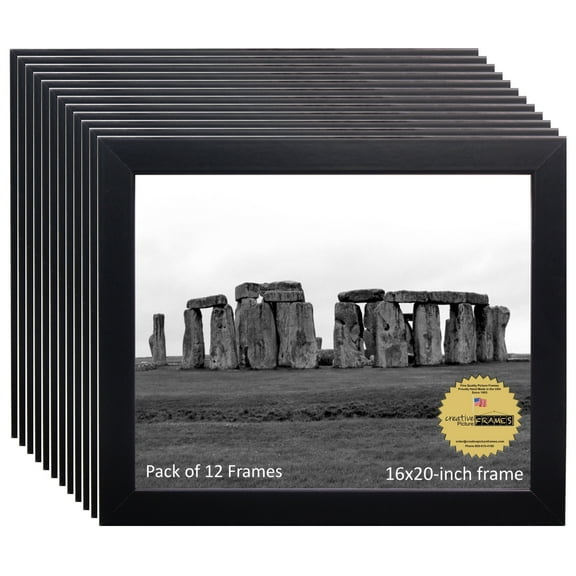 CreativePF 16x20-inch Black Picture Frame