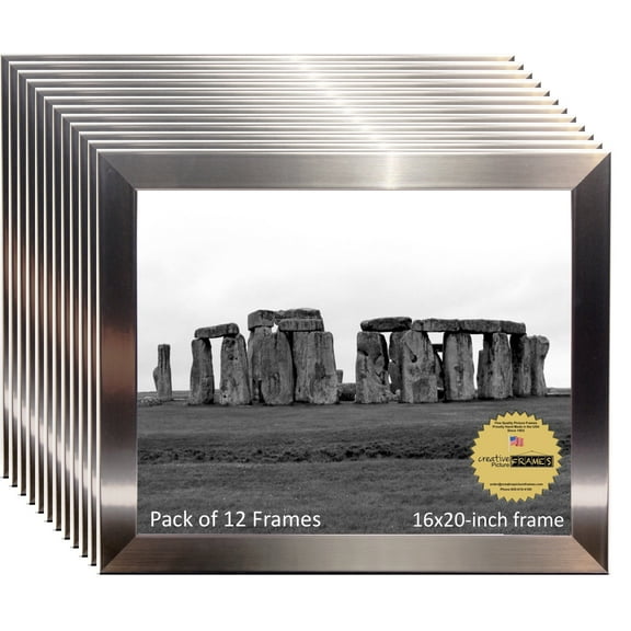 CreativePF 16x20-inch Stainless Steel Finish Picture Frame