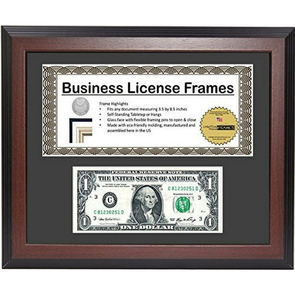 Dollar Bill Frame