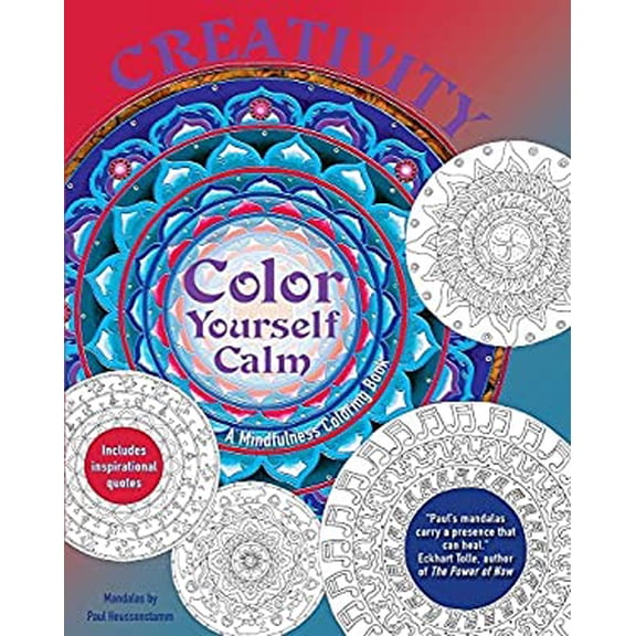 Pre-Owned Creativity: A Mindfulness Coloring Book (Paperback) 1438008376 9781438008370