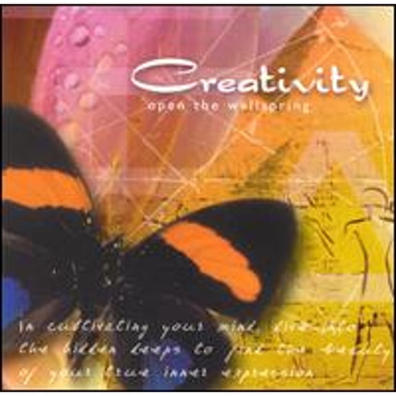 Pre-Owned Creativity: Open the Wellspring (CD 0013178990929) by Jim Brandmeier & Steve Wood