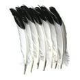 thumbnail image 1 of Creativity Street® Imitation Eagle Feathers - 12 per pack, 6 packs, 1 of 2
