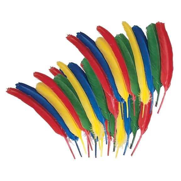Creativity Street, PAC4503, Quill Feathers, 24 / Pack, Multicolor