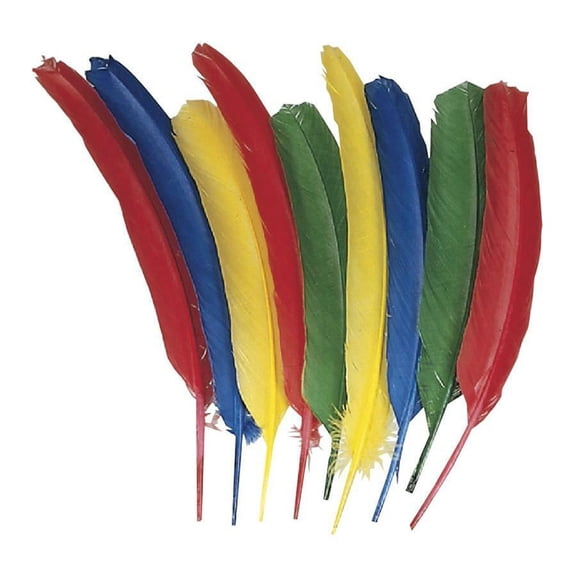 Creativity Street Quill Feathers - Multipurpose - 24 Piece(s) - 24 / Pack - Multicolor | Bundle of 5 Packs