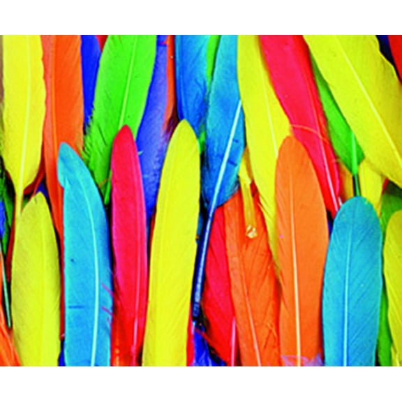 Creativity Street Short Colored Duck Quill, 3 to 5 Inches, Assorted Colors, 1/2 Ounce Bag