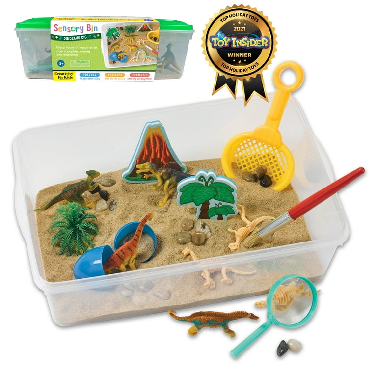  Inspire My Play Sensory Bin with Lid and Removable Storage  Inserts - Sensory Bins for Toddler Crafts - Kids Sensory Toys for Autistic  Children - Sensory Activities for Toddlers : Toys & Games