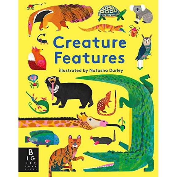 Pre-Owned Creature Features (Board book) 1536210439 9781536210439