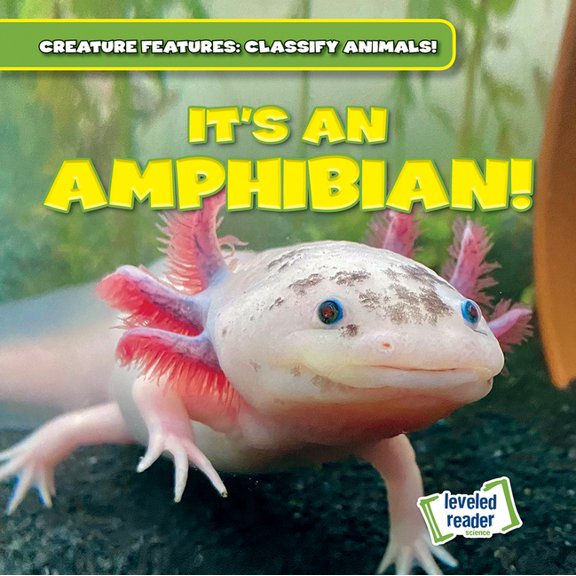 Creature Features: Classify Animals! It's an Amphibian!, (Hardcover)
