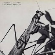 Creature Of Habit - SHM
