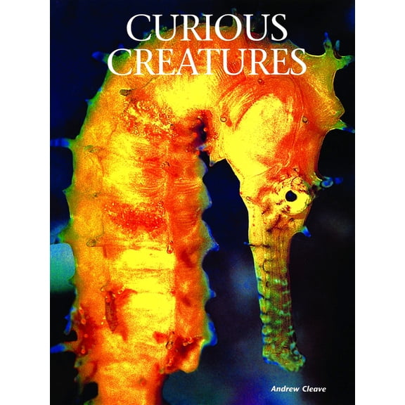 Creatures of the Ocean: Curious Creatures (Hardcover)