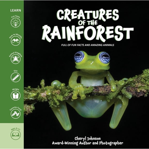 Creatures of the Rainforest, (Hardcover)