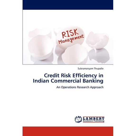 Credit Risk Efficiency in Indian Commercial Banking (Paperback)