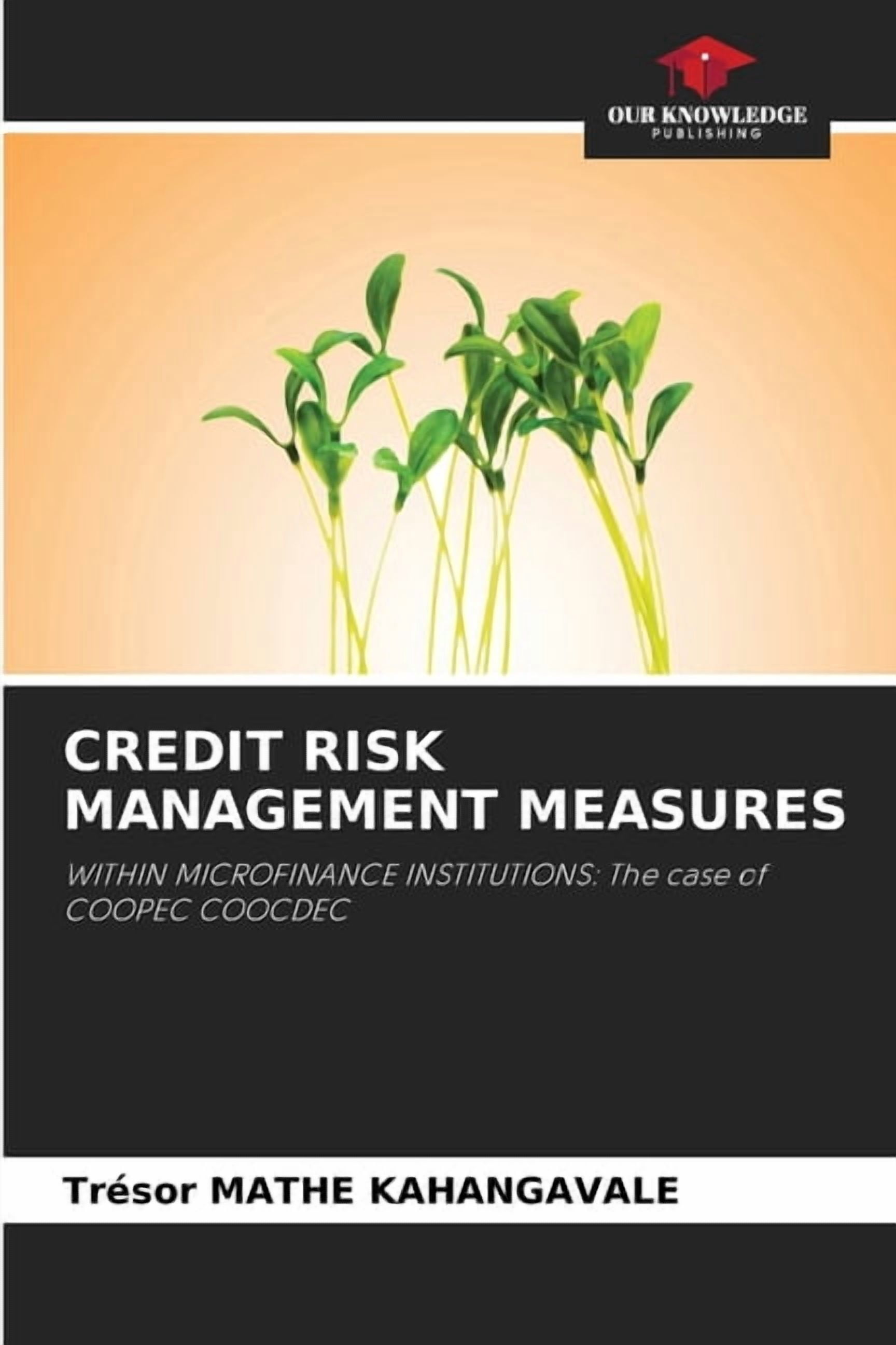 Credit Risk Management Measures, (Paperback)