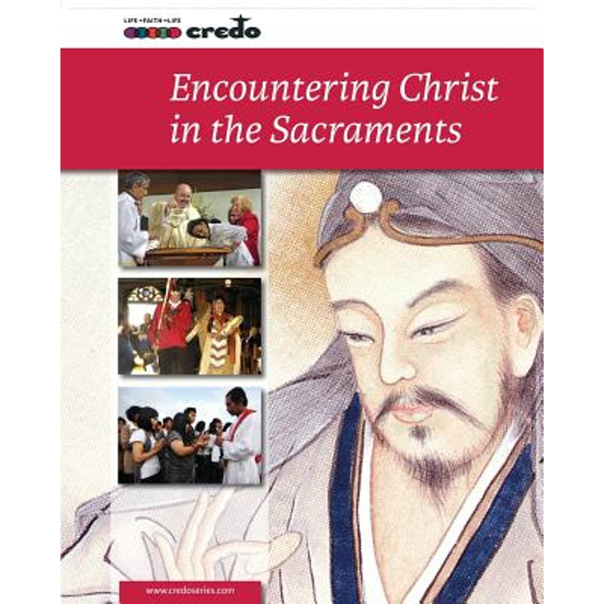 Pre-Owned Encountering Christ in the Sacraments, Paperback by Veritas Company (COR), ISBN 1847306039, ISBN-13 9781847306036
