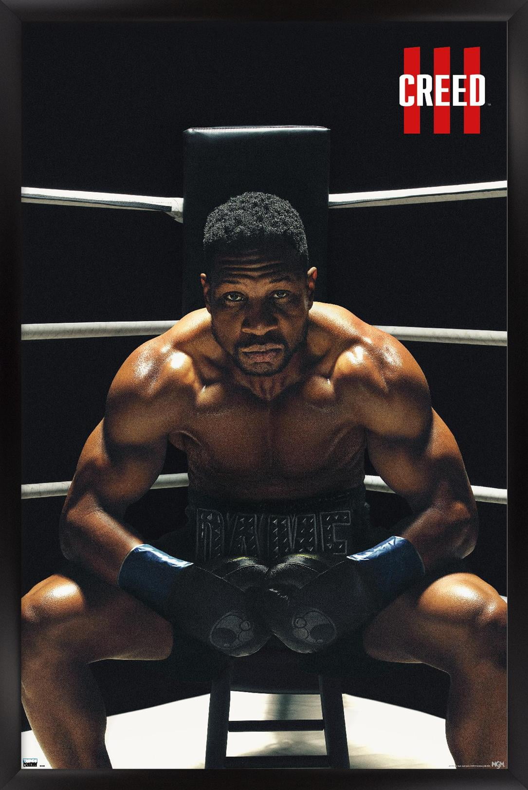 Creed III - Damian One Sheet Wall Poster, 14.725" x 22.375" Framed