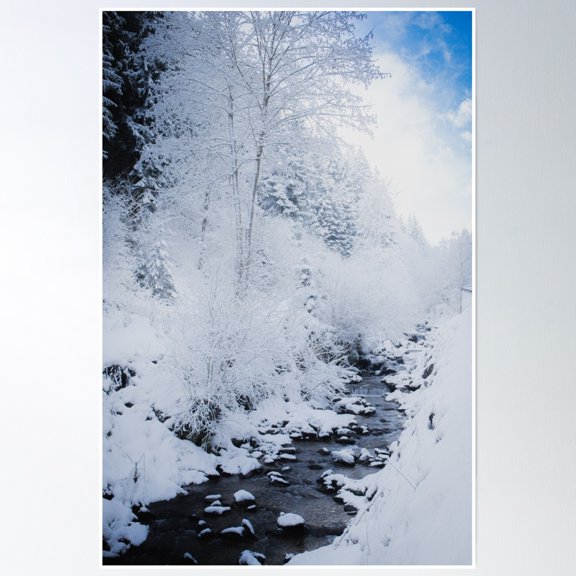Creek Bed In January Poster Wall Art, Modern Wall Decor, 16x24 UNFRAMED