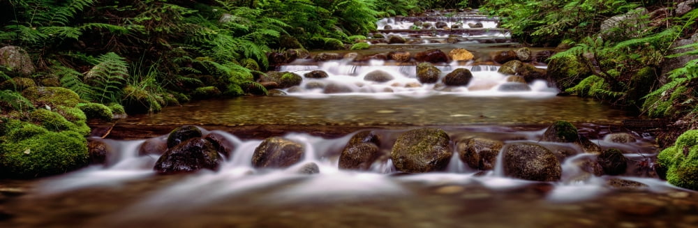 Creek cascading over rocks Kokanee Creek Kokanee Creek Provincial Park British Columbia Canada Canvas Art - Panoramic Images (6 x 18)