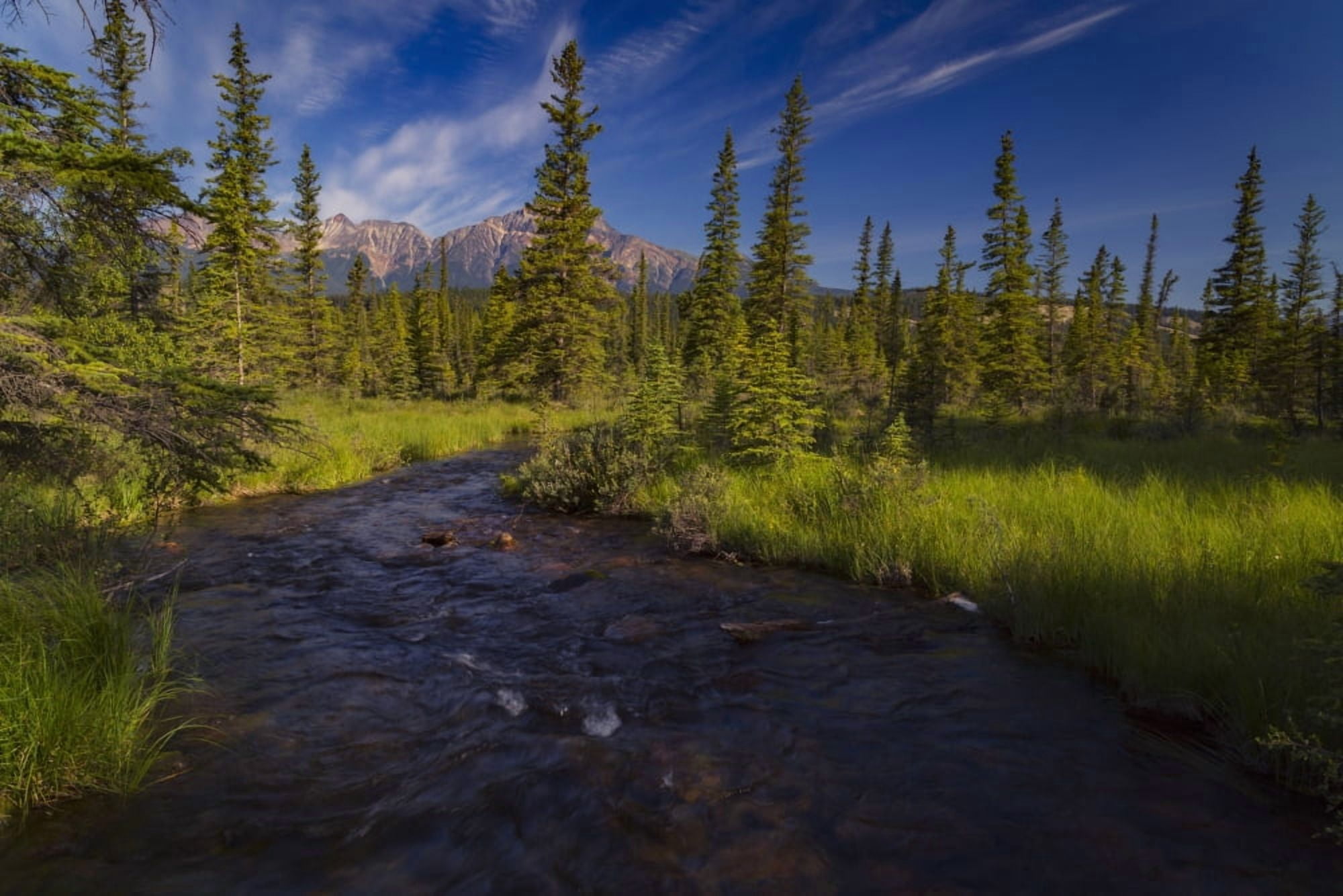 Creek that leads away from Lac Beauvert Jasper National Park Alberta Canada Canvas Art - Justin Sinclair Design Pics (19 x 12)