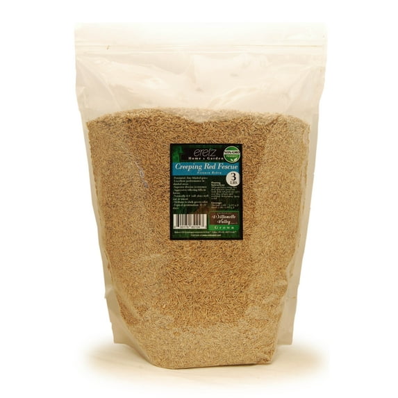 Creeping Red Fescue Seed by Eretz 3lb - CHOOSE SIZE! Willamette Valley Oregon Grown, No Fillers, No Weed or Other Crop Seeds, Premium Shade Grass Seed.