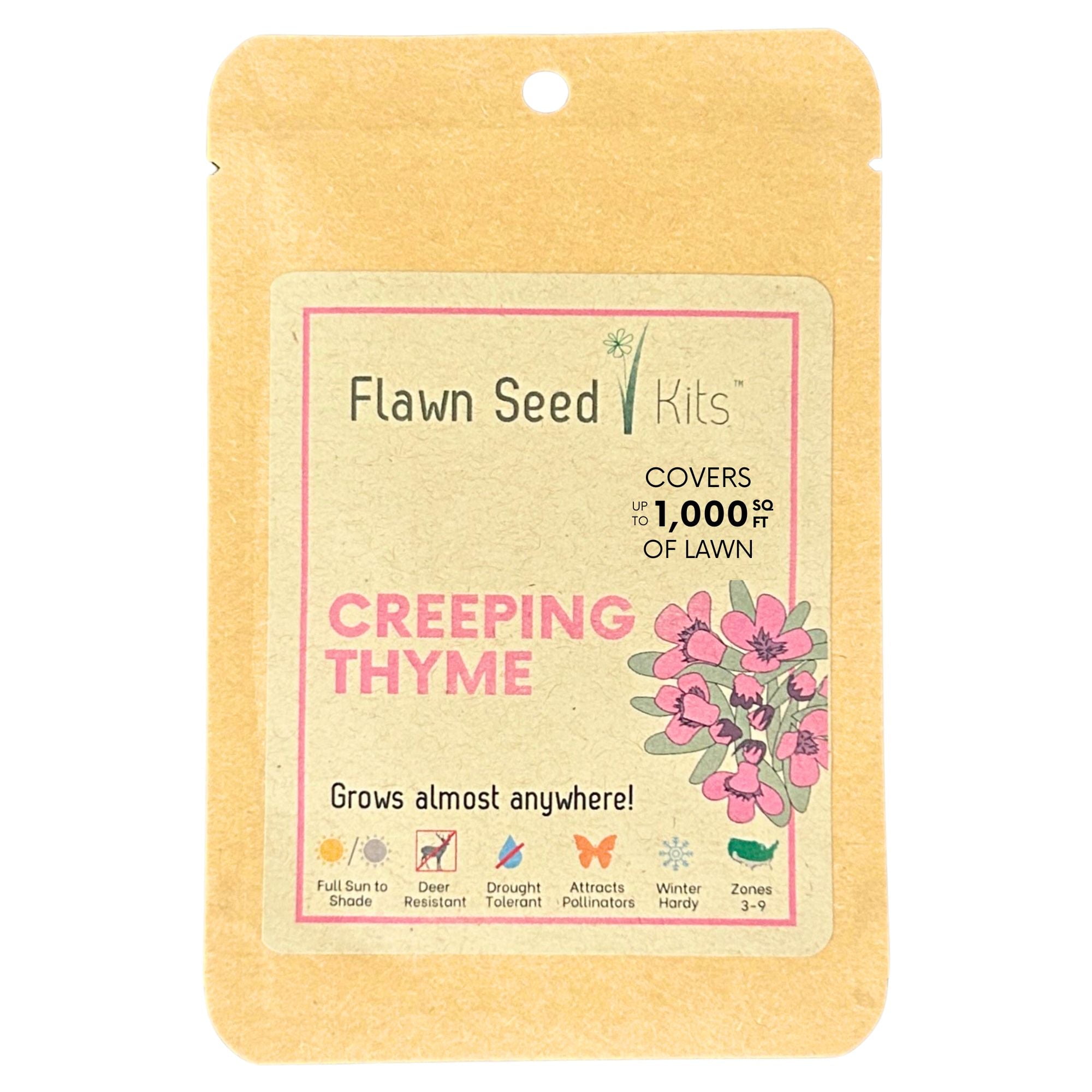 Flawn Seed Kits Creeping Thyme Seed in Compostable Pouch, Covers up to